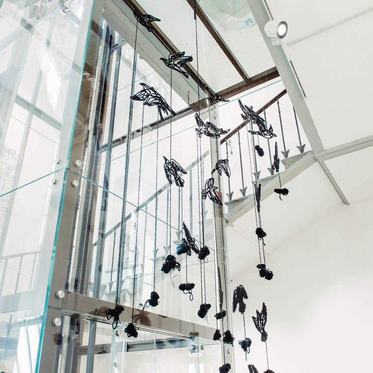 Image - 112ea006-240b-443c-bd37-ec72f4297526