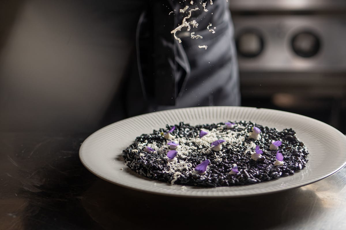 First course at the restaurant